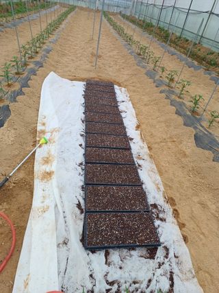 김영천님의 기타작물 · 영농일지 작성글 사진