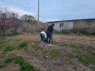 이종애님의 기타작물 · 영농일지 작성글 사진