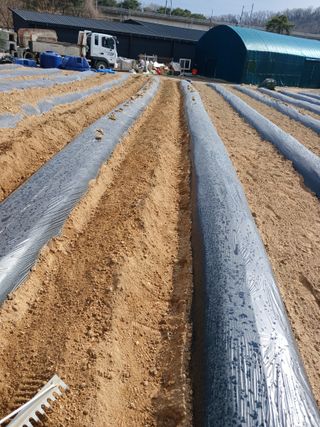 표고버섯8364님의 기타작물 · 영농일지 작성글 사진