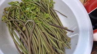 김지철님의 기타작물 · 영농일지 작성글 사진