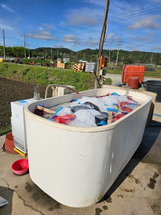 권정식님의 벼 · 영농일지 작성글 사진