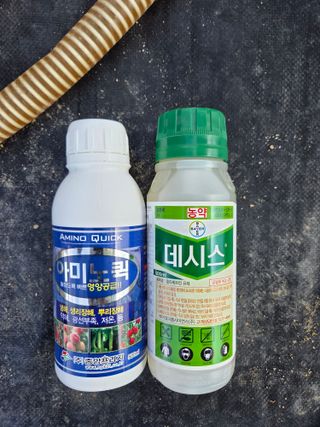 장두학님의 기타작물 · 영농일지 작성글 사진