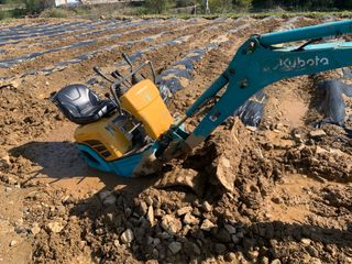 백용구님의 두릅 · 영농일지 작성글 사진