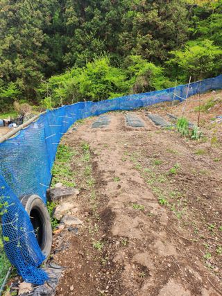 덕포킴님의 기타작물 · 영농일지 작성글 사진