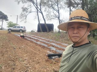 로만아빠님의 감자 · 영농일지 작성글 사진