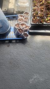 팜모닝 호박·영농일지 게시글 이미지