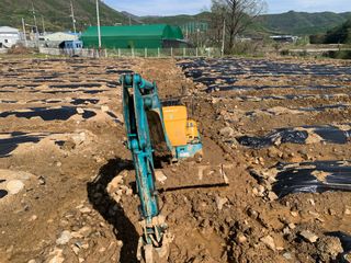 백용구님의 두릅 · 영농일지 작성글 사진