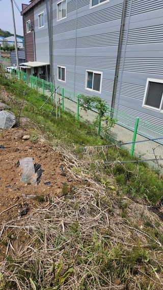 이순정님의 기타작물 · 영농일지 작성글 사진