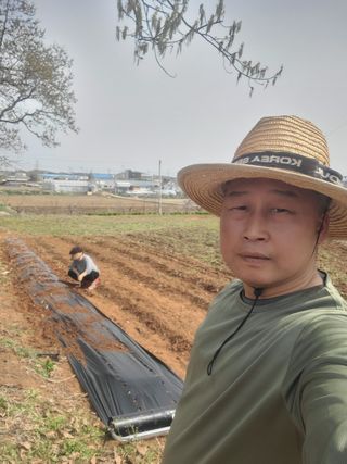 로만아빠님의 감자 · 영농일지 작성글 사진