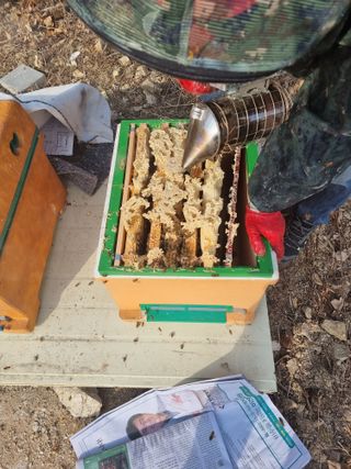 역전평리이광재님의 기타작물 · 영농일지 작성글 사진