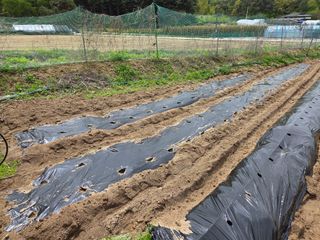 장두학님의 기타작물 · 영농일지 작성글 사진