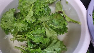 김지철님의 기타작물 · 영농일지 작성글 사진