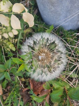 역전평리이광재님의 기타작물 · 영농일지 작성글 사진