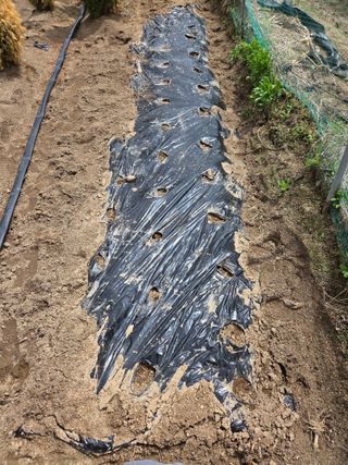 장두학님의 기타작물 · 영농일지 작성글 사진