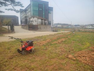 로만아빠님의 감자 · 영농일지 작성글 사진