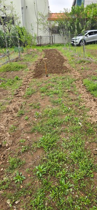 돌복숭아님의 기타작물 · 영농일지 작성글 사진