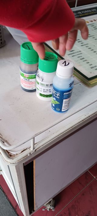 김 연님의 기타작물 · 영농일지 작성글 사진