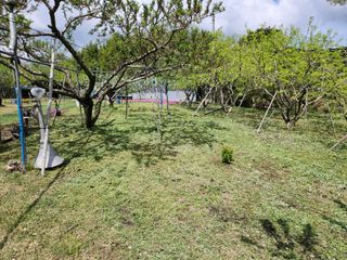 키다리님의 감 · 영농일지 작성글 사진