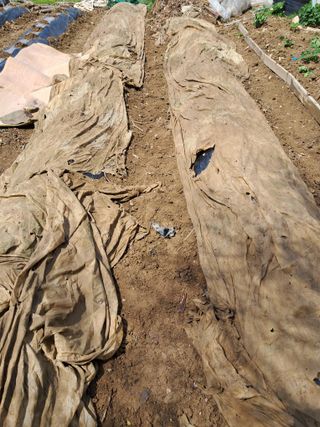 울산연안님의 기타작물 · 영농일지 작성글 사진