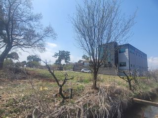 로만아빠님의 기타작물 · 영농일지 작성글 사진