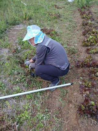 성재엄마님의 기타작물 · 영농일지 작성글 사진
