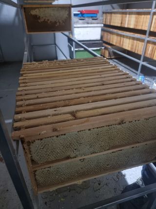 역전평리이광재님의 기타작물 · 영농일지 작성글 사진