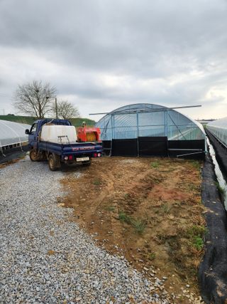 김저팔계님의 기타작물 · 영농일지 작성글 사진