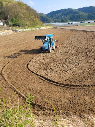 아리랑님의 벼 · 영농일지 작성글 사진