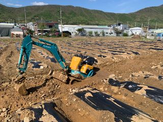 백용구님의 두릅 · 영농일지 작성글 사진