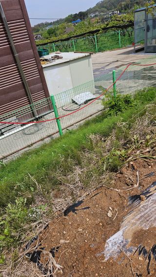 이순정님의 기타작물 · 영농일지 작성글 사진