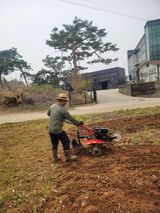 팜모닝 감자·영농일지 게시글 이미지