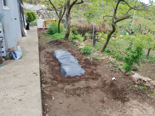 헤이쥬회원님의 고추 · 영농일지 작성글 사진