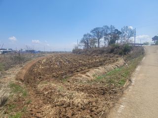 로만아빠님의 기타작물 · 영농일지 작성글 사진