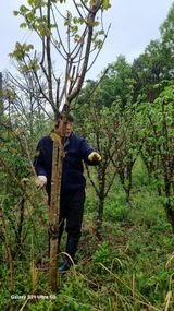 팜모닝 기타작물·영농일지 게시글 이미지