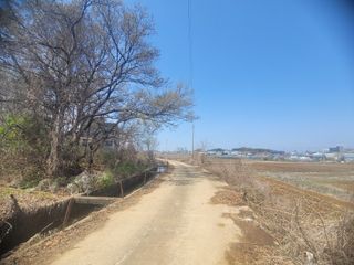 로만아빠님의 기타작물 · 영농일지 작성글 사진