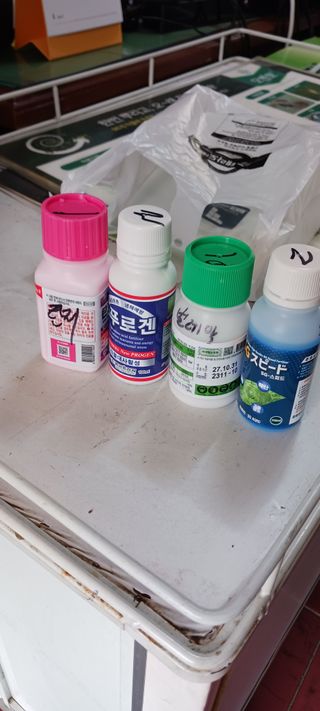 김 연님의 기타작물 · 영농일지 작성글 사진