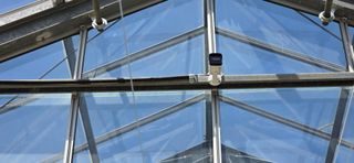 권영관님의 기타작물 · 영농일지 작성글 사진