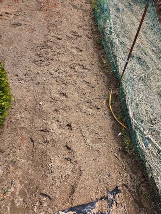 장두학님의 기타작물 · 영농일지 작성글 사진