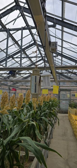 권영관님의 기타작물 · 영농일지 작성글 사진