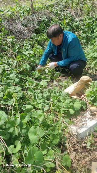 김금순자연산약초님의 기타작물 · 영농일지 작성글 사진