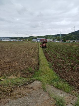 전원수님의 기타작물 · 영농일지 작성글 사진