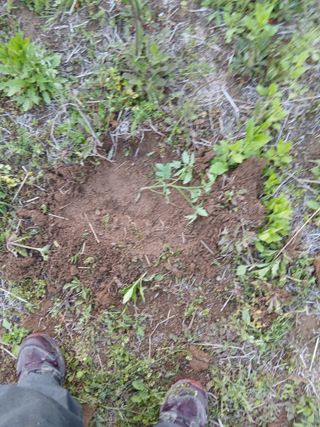 성재엄마님의 기타작물 · 영농일지 작성글 사진