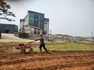 로만아빠님의 감자 · 영농일지 작성글 사진