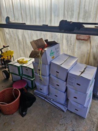 백운농원 님의 기타작물 · 영농일지 작성글 사진