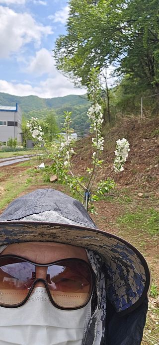 돌복숭아님의 기타작물 · 영농일지 작성글 사진