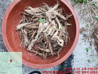 이재하님의 기타작물 · 영농일지 작성글 사진