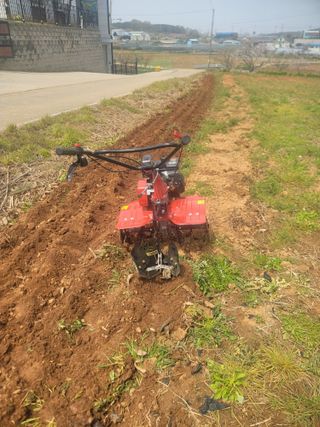 로만아빠님의 감자 · 영농일지 작성글 사진