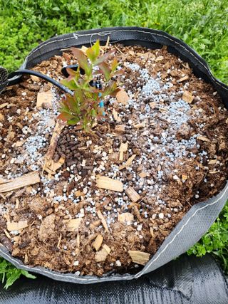 밀양달콤팜님의 기타작물 · 영농일지 작성글 사진