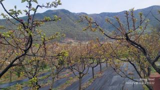 엄성열님의 기타작물 · 영농일지 작성글 사진