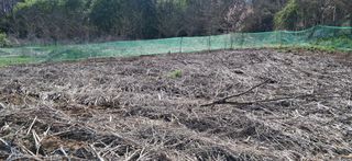 이복길님의 파 · 영농일지 작성글 사진